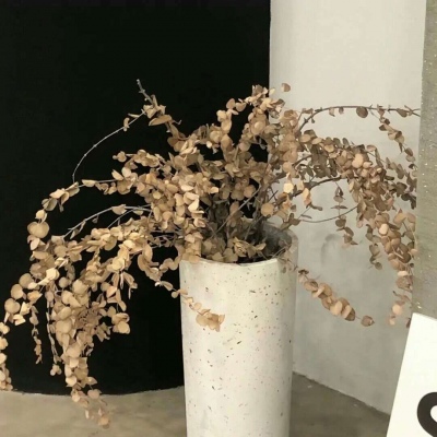 Furry绘画笔刷实用运用福瑞交流群